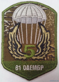 81_5 БТГр 1 3.jpg