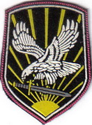 Сокіл берет+.jpg