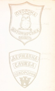 ДСО Житомир.jpg