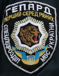 3029 4.jpg