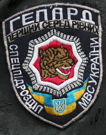3029 14.jpg