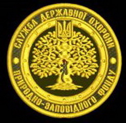 СДО ПЗФ.jpg