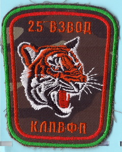 КЛПВФП в25+.jpg