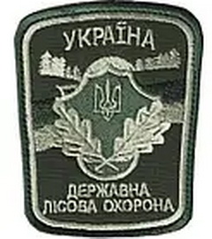 ДЛО.jpg