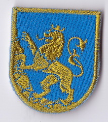 Львів берет+.jpg