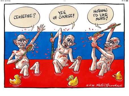 Peter Brookes.jpg