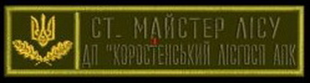 ЛГ Коростень СМЛг.jpg