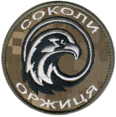 Оржиця_соколи.png