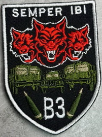 38_вз.jpg
