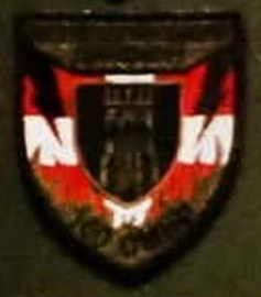 100.jpg