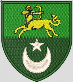 455 4.jpg
