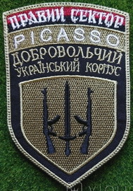 ПС ДУК Пікассо.jpg