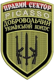 ПС ДУК Пікассо.png