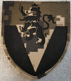 223.jpg