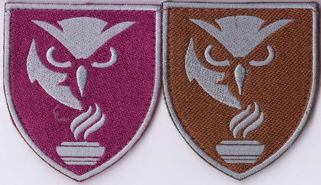 Упр вн.аудиту+.jpg