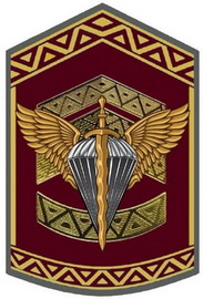 204 ЦПСС ДШВ.jpg