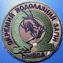 овз.jpg