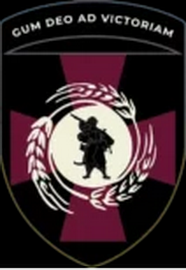 20 осб - мб 61.png