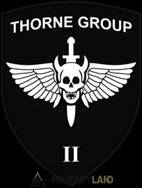 Торн Груп.png