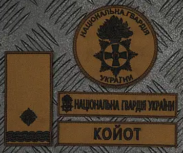 нг800.png
