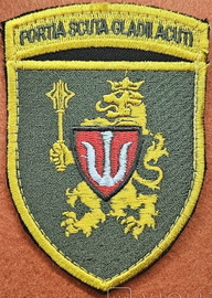 11.jpg