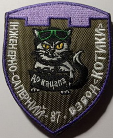 87_сапв.jpg