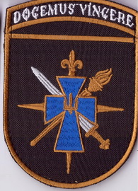 ЖВІ+.jpg