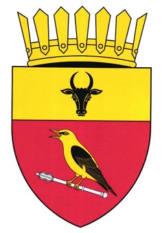 Flag and coat of arms of Hijdieni village, Glodeni District and Gangura village, Ialoveni District.-3зм.jpg