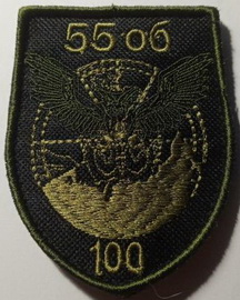 55 100.jpg