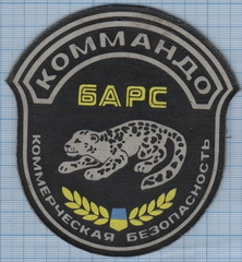 Барс.jpg