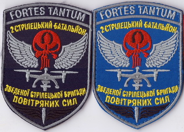 зсбр_2сб+.jpg