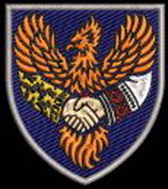 146_цвс 2 1.jpg