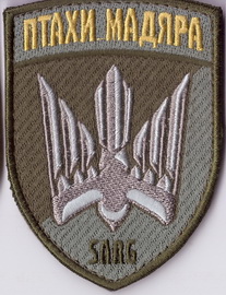 ПМ+.jpg