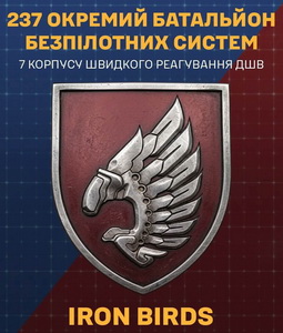 237.jpg