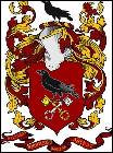 � 437 Maksym KOPYTKO (odesa)